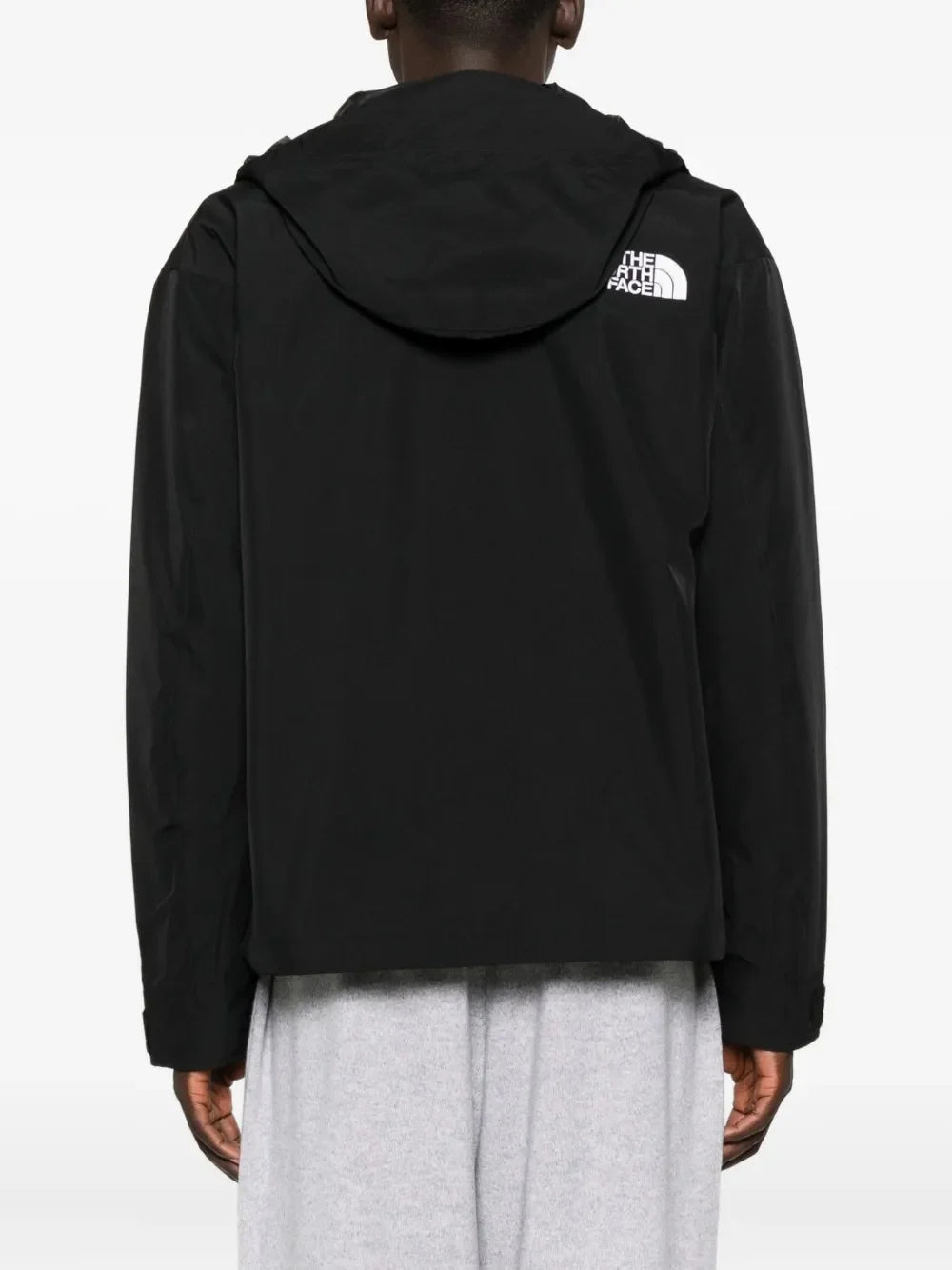 THE NORTH FACE - Men GTX Mountain Jacket