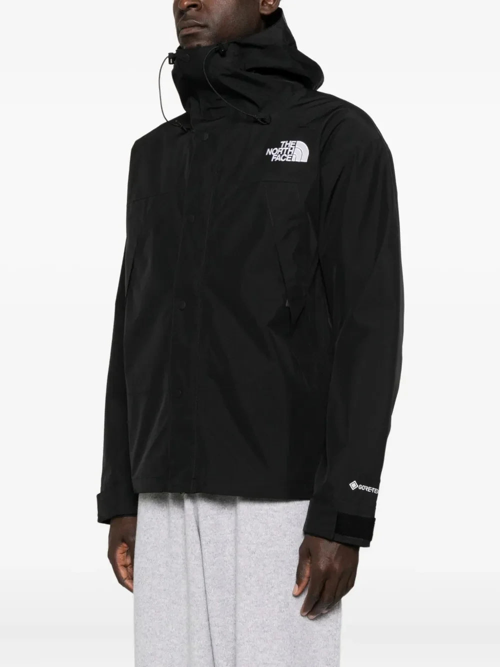 THE NORTH FACE - Men GTX Mountain Jacket